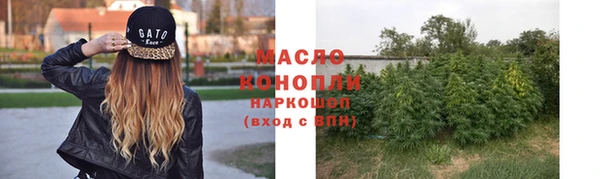 индика Волоколамск