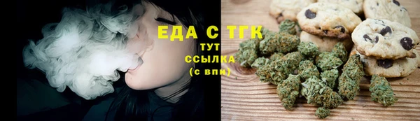 индика Волоколамск