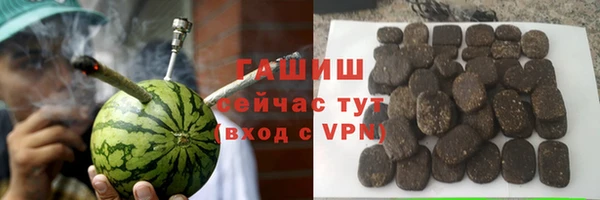 индика Волоколамск
