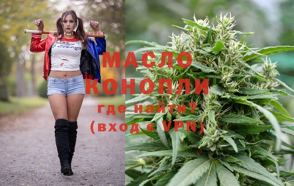 индика Волоколамск