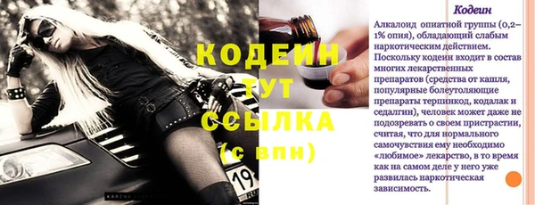 индика Волоколамск