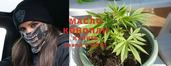 индика Волоколамск
