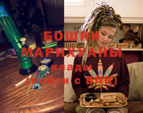 индика Волоколамск