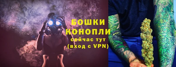 индика Волоколамск