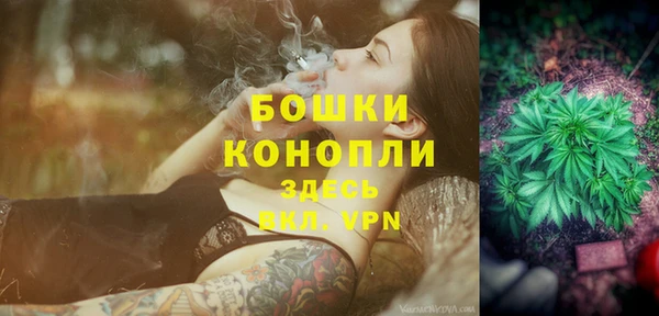 индика Волоколамск