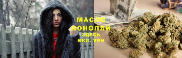 индика Волоколамск