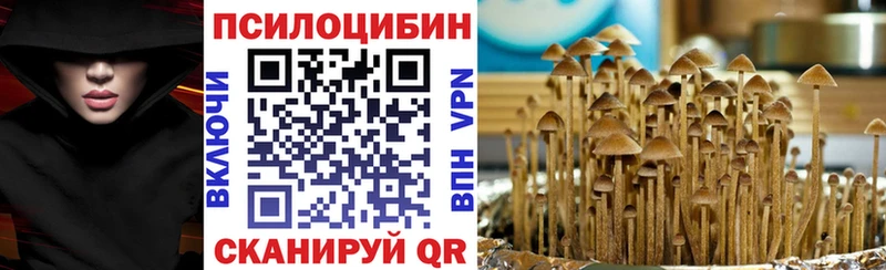 Галлюциногенные грибы MAGIC MUSHROOMS  Новосибирск 