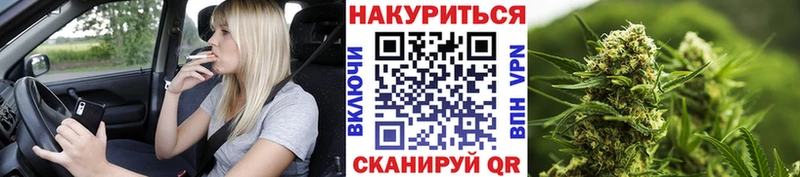 MEGA ТОР  Новосибирск  мориарти наркотические препараты  Каннабис Ganja 